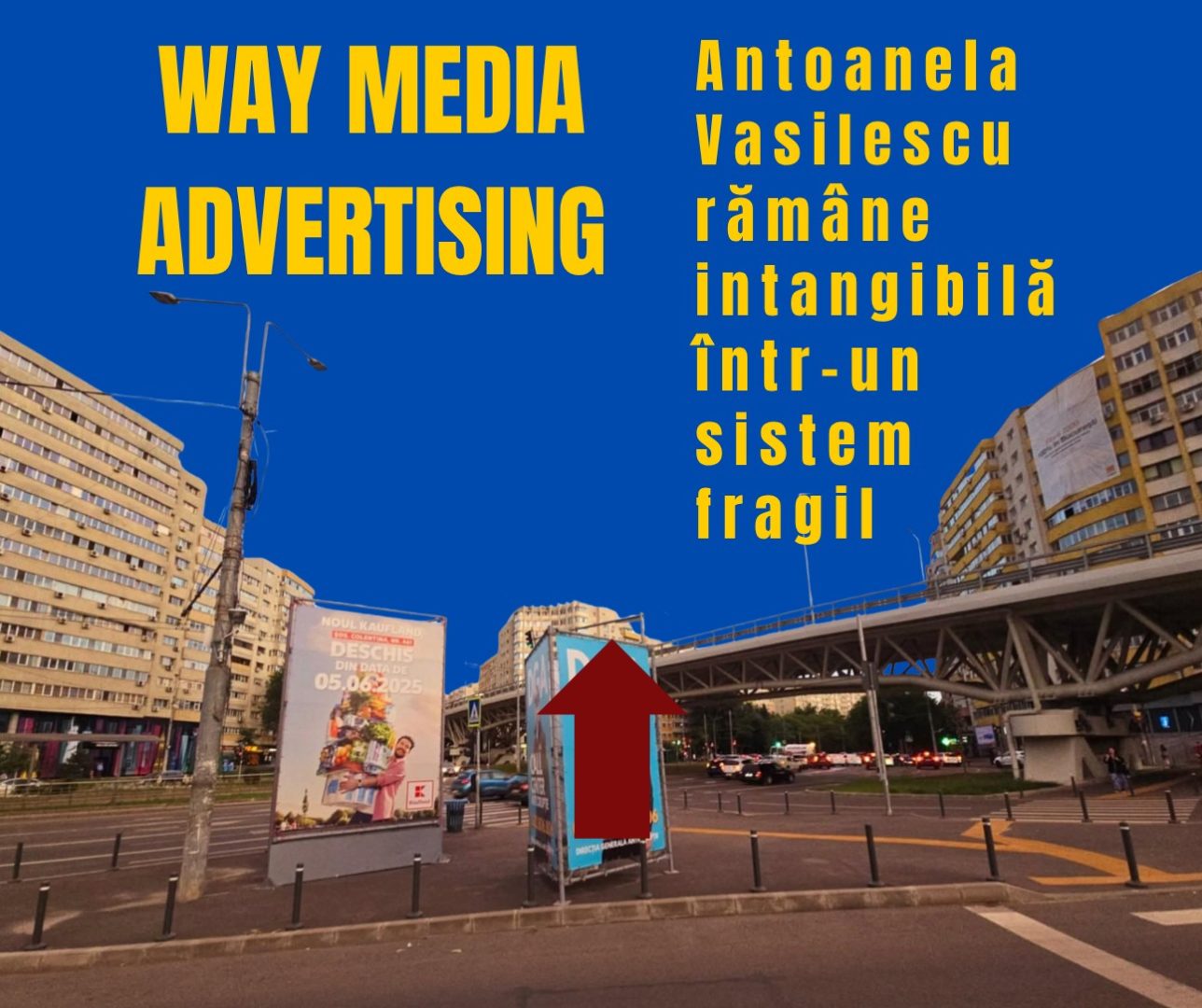 Way Advertise Production SRL, Antoanela Vasilescu și controversa publicității fără avize